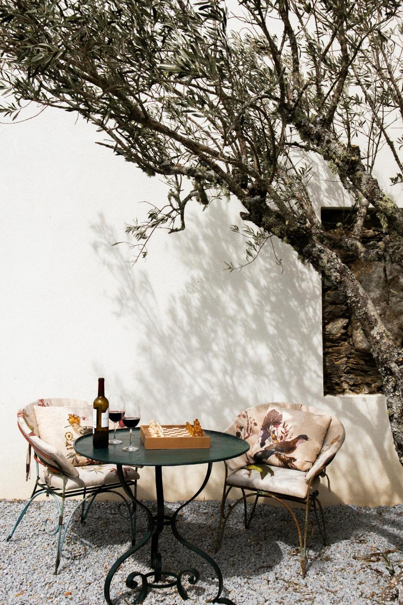 Casa Do Santo - Wine & Tourism Farm stay