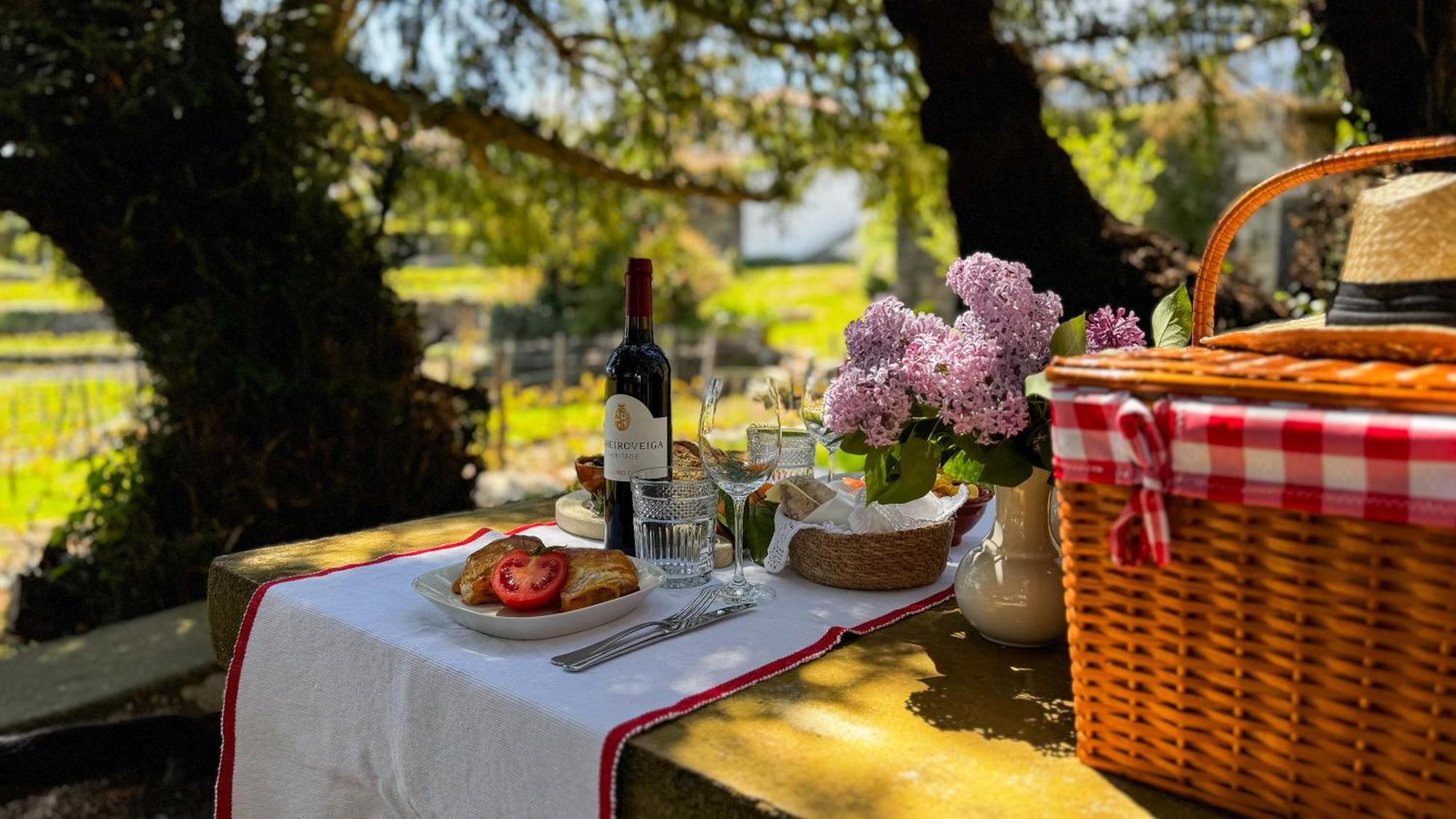 Casa Do Santo - Wine & Tourism * Provesende