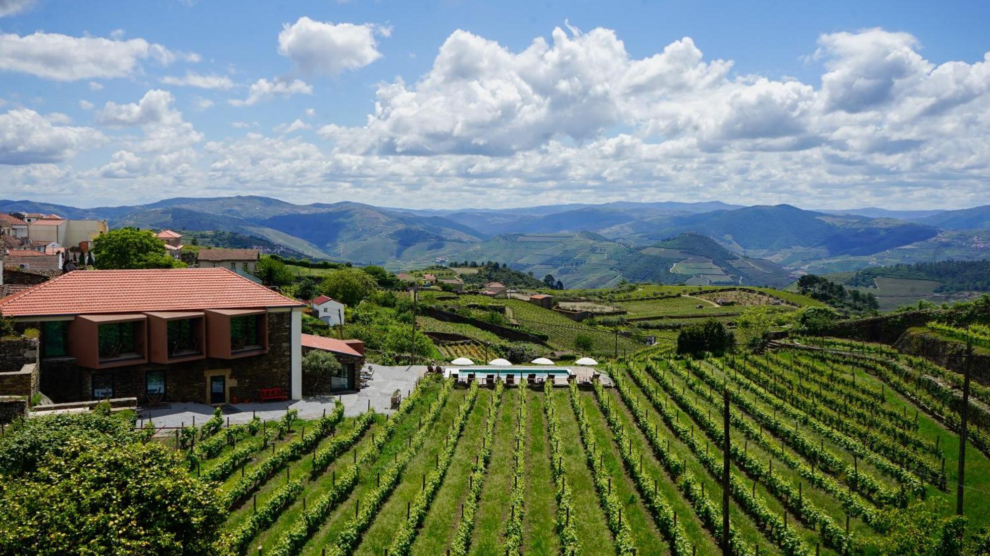 Farm stay Casa Do Santo - Wine & Tourism Provesende