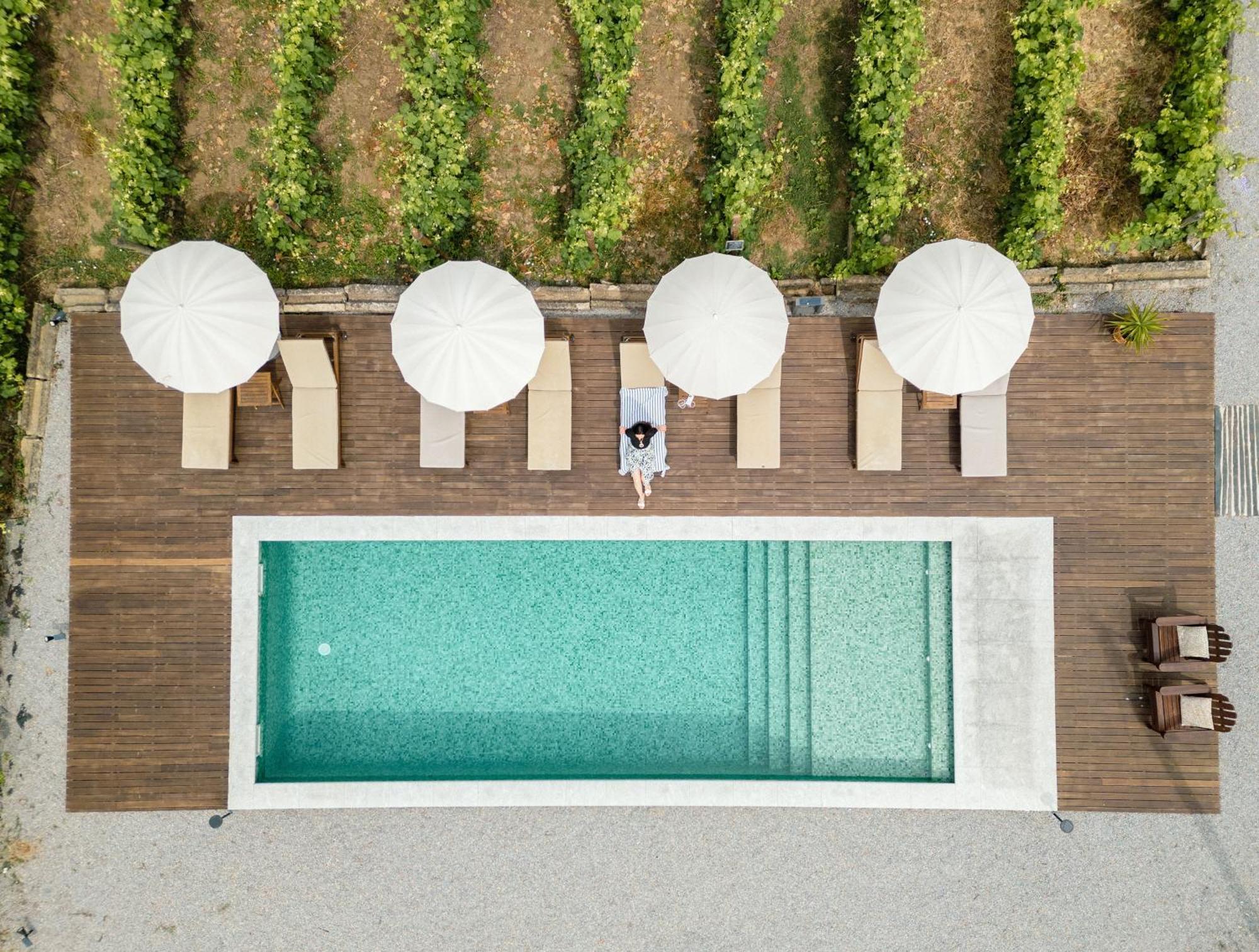 Casa Do Santo - Wine & Tourism Farm stay Provesende