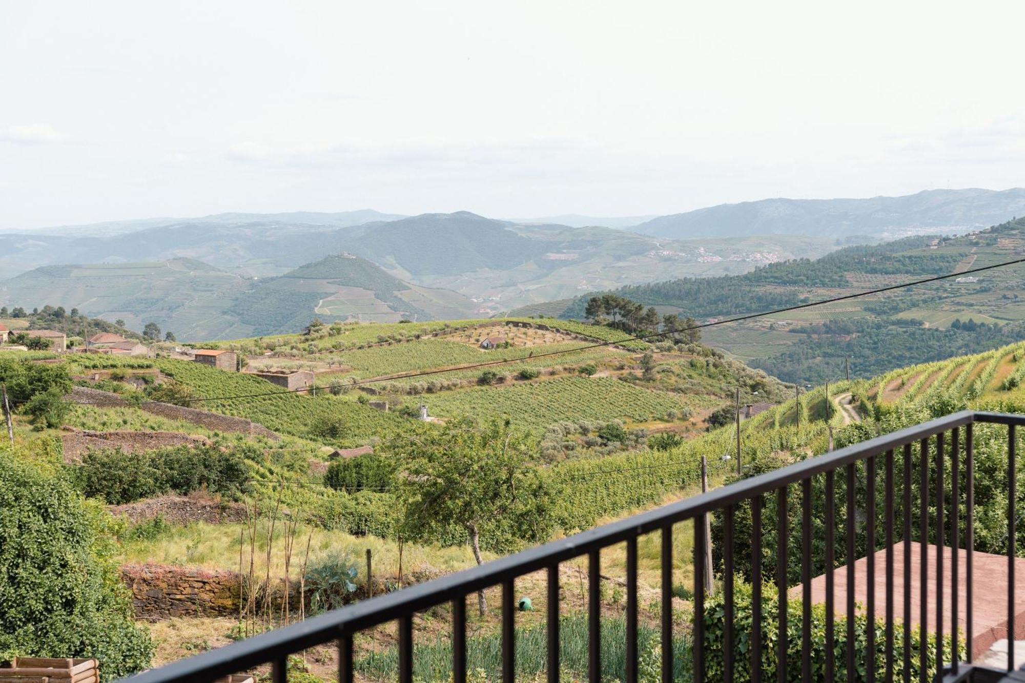 Casa Do Santo - Wine & Tourism * Provesende