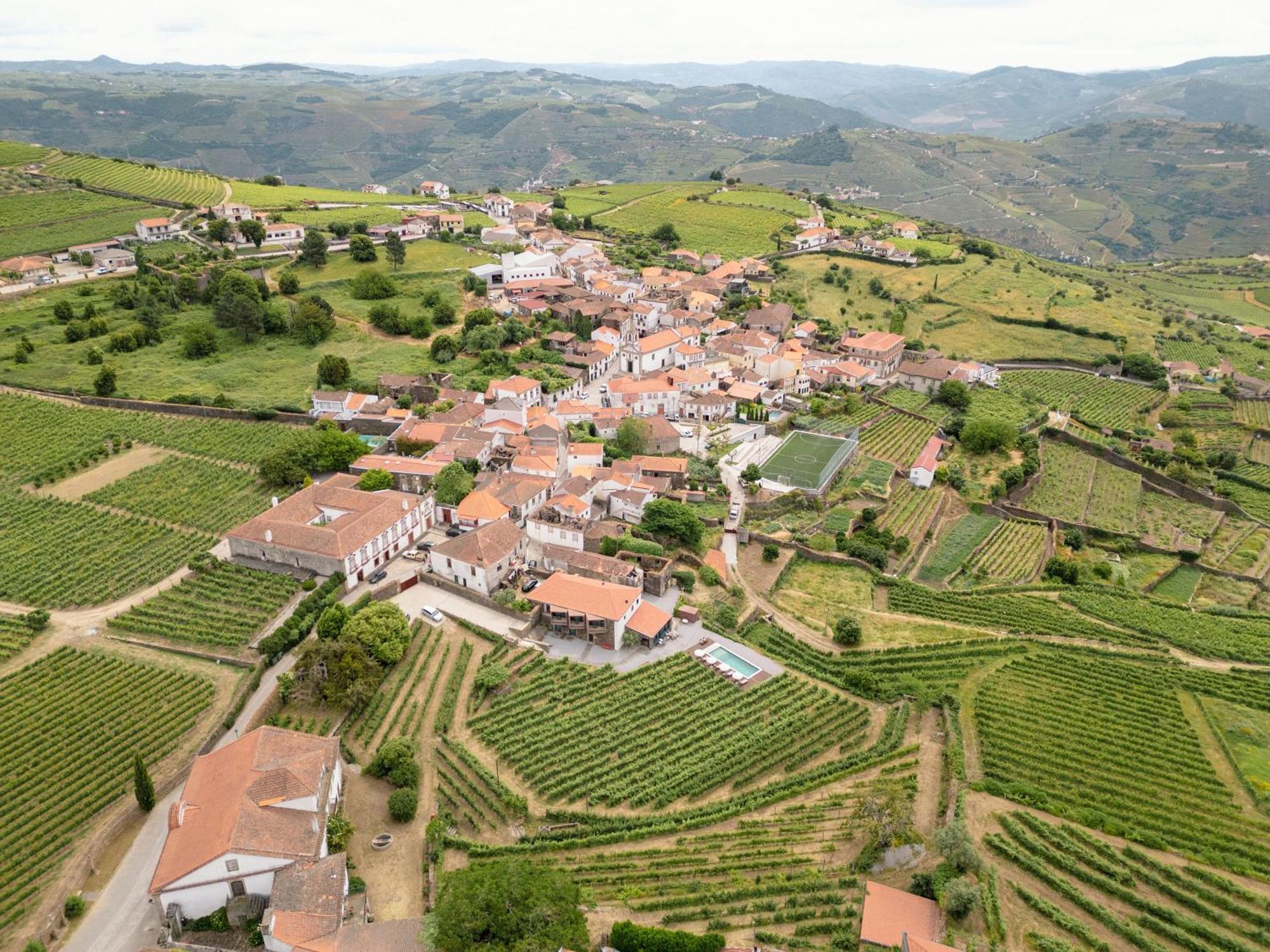 Farm stay Casa Do Santo - Wine & Tourism Provesende