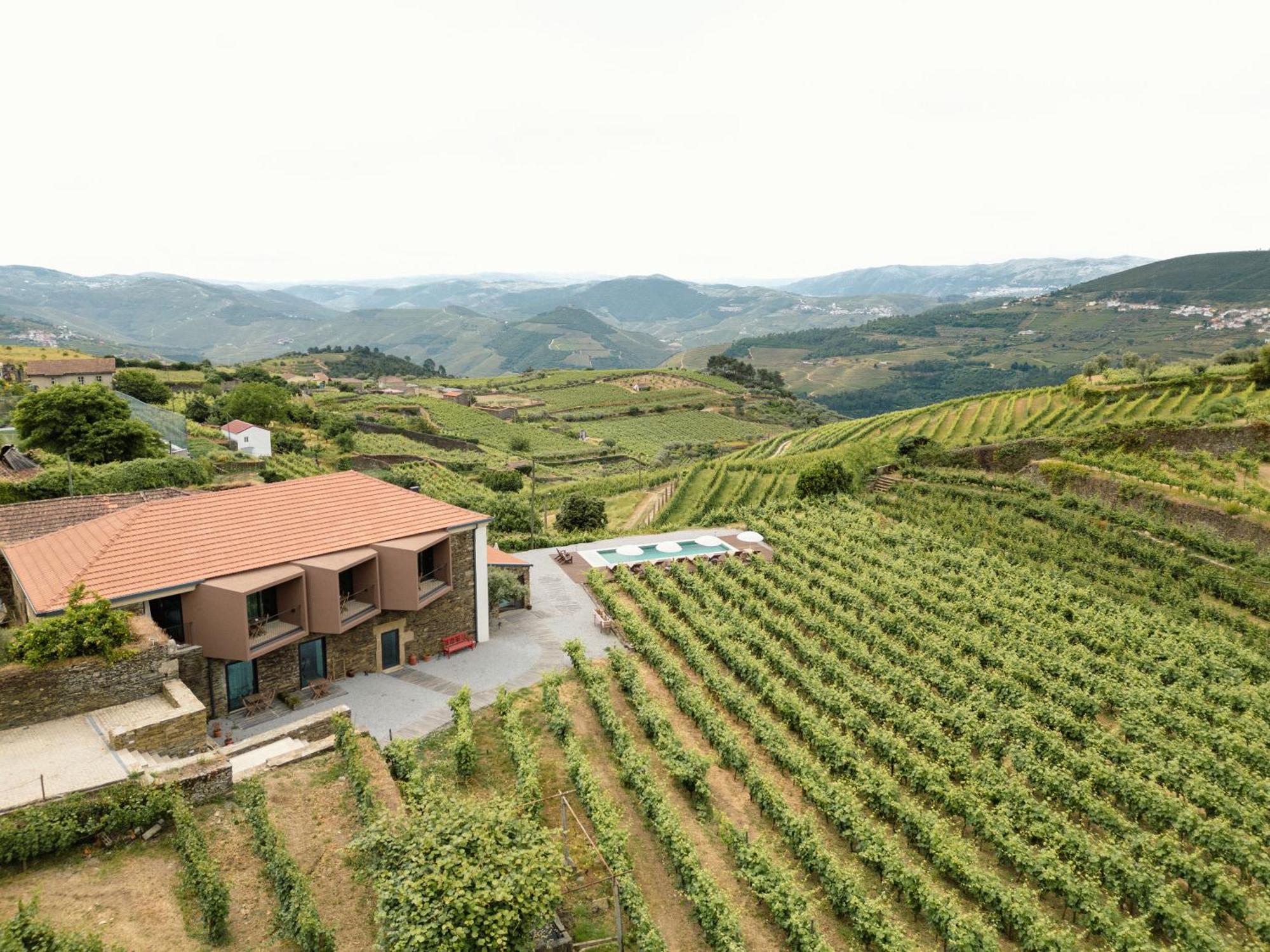 Casa Do Santo - Wine & Tourism Provesende